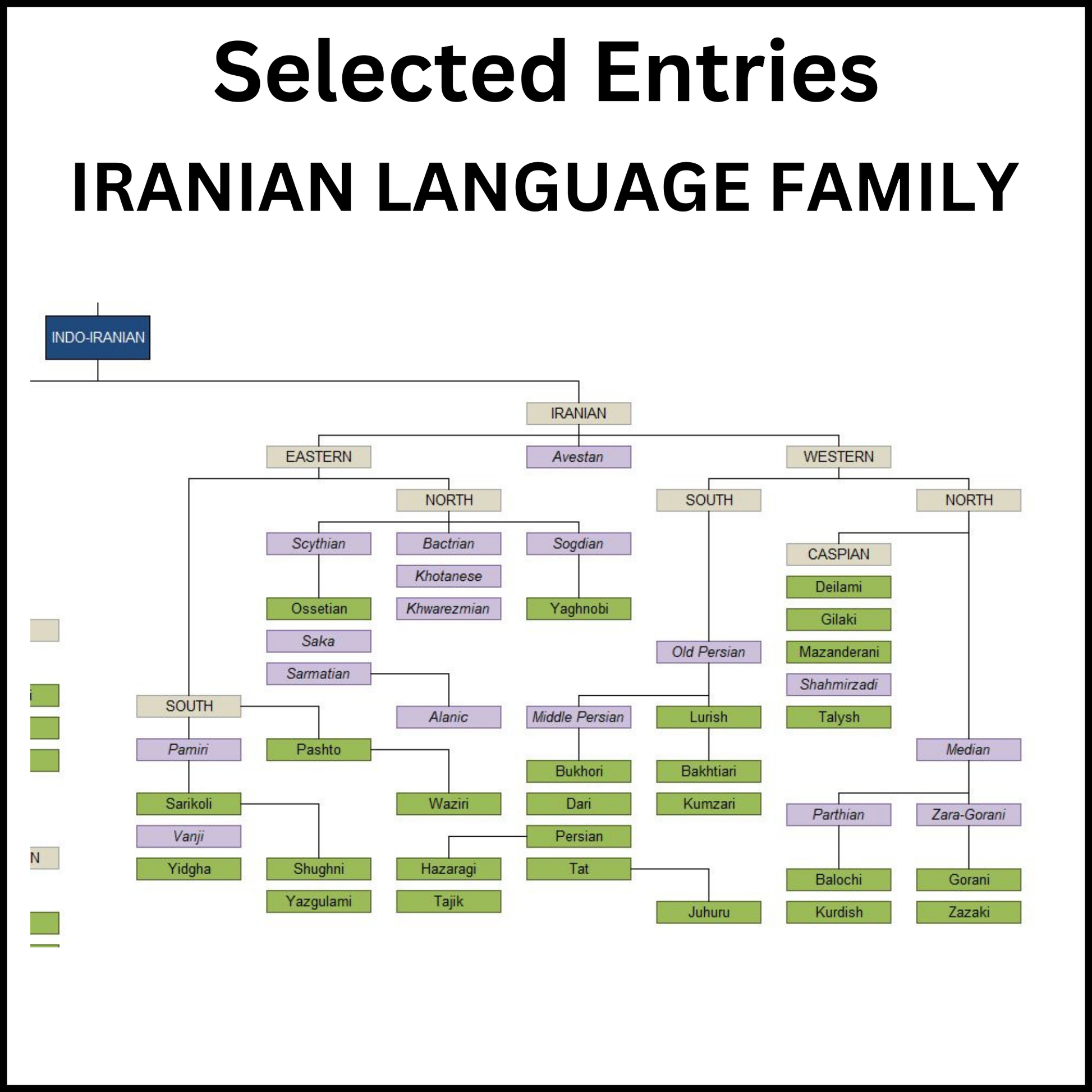 Example of a section of the Major Indo-European language families and Major writing systems showing the Iranian Language Family.