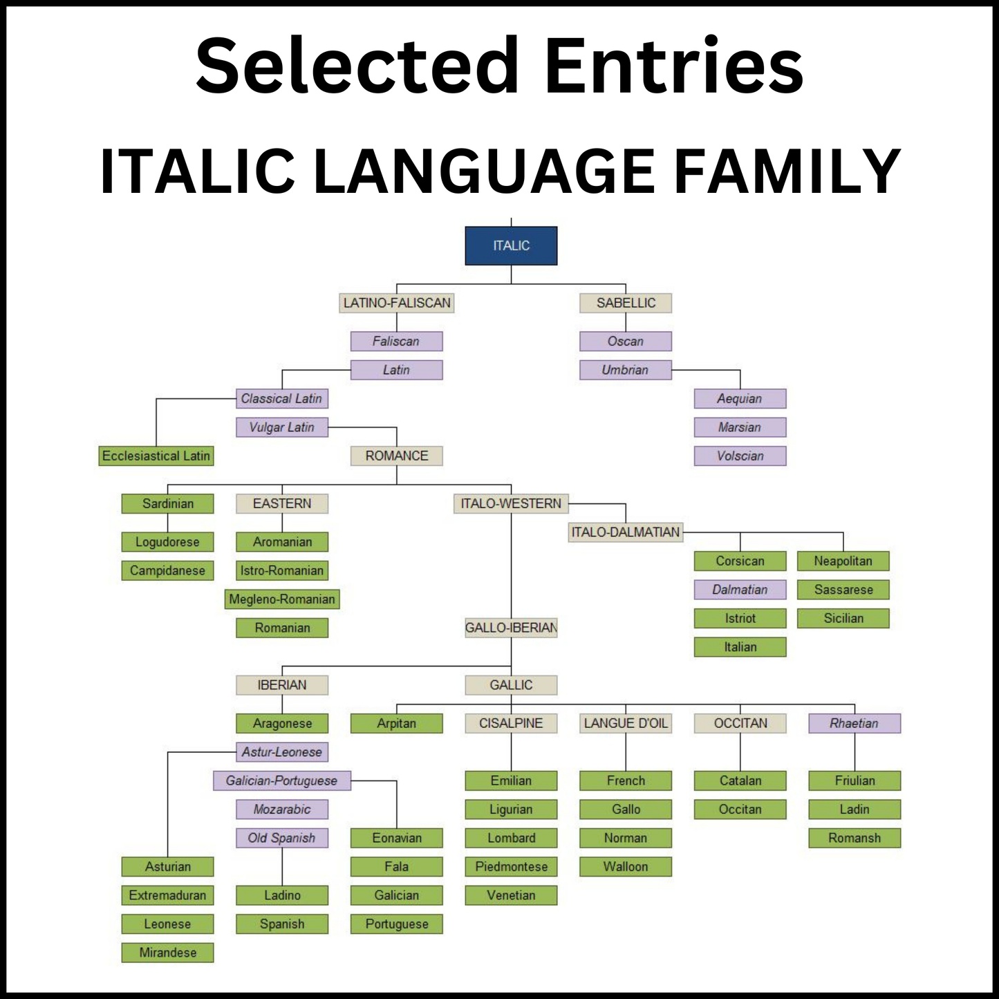 Example of a section of the Major Indo-European language families and Major writing systems showing the Italic Language Family.