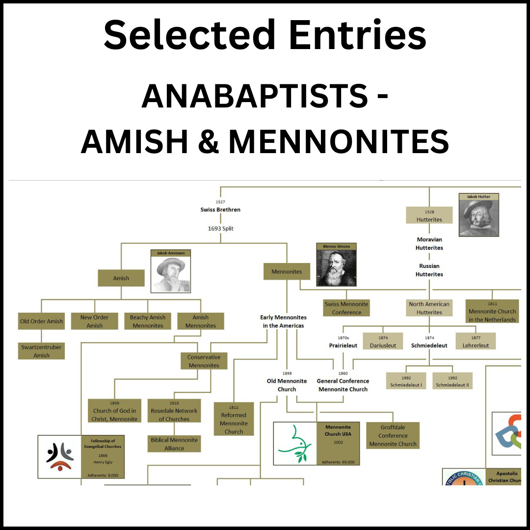 Example of a section of the Family Tree of Christian Denominations showing the Anabaptists.